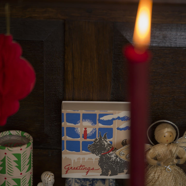 Year of the Snake lucifers