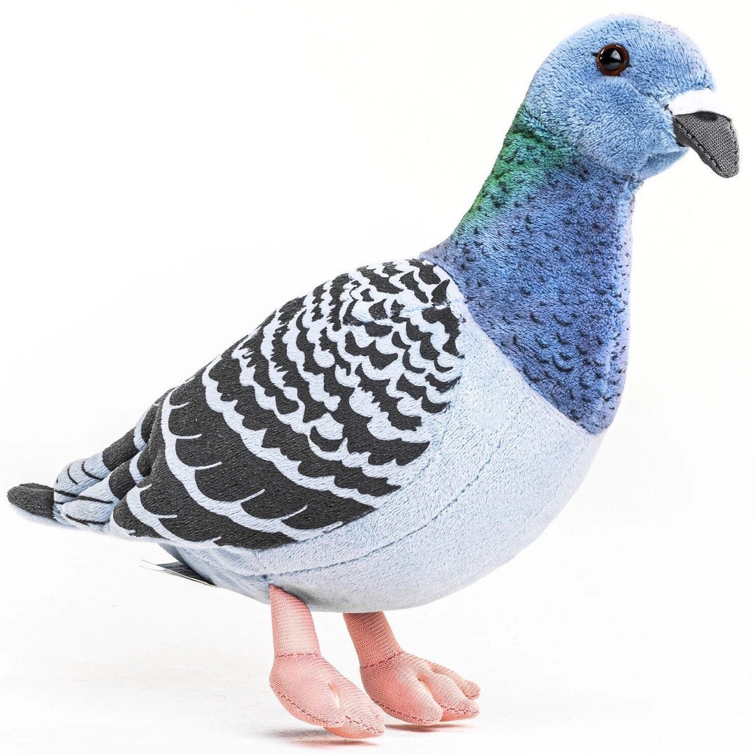 Blue Pigeon