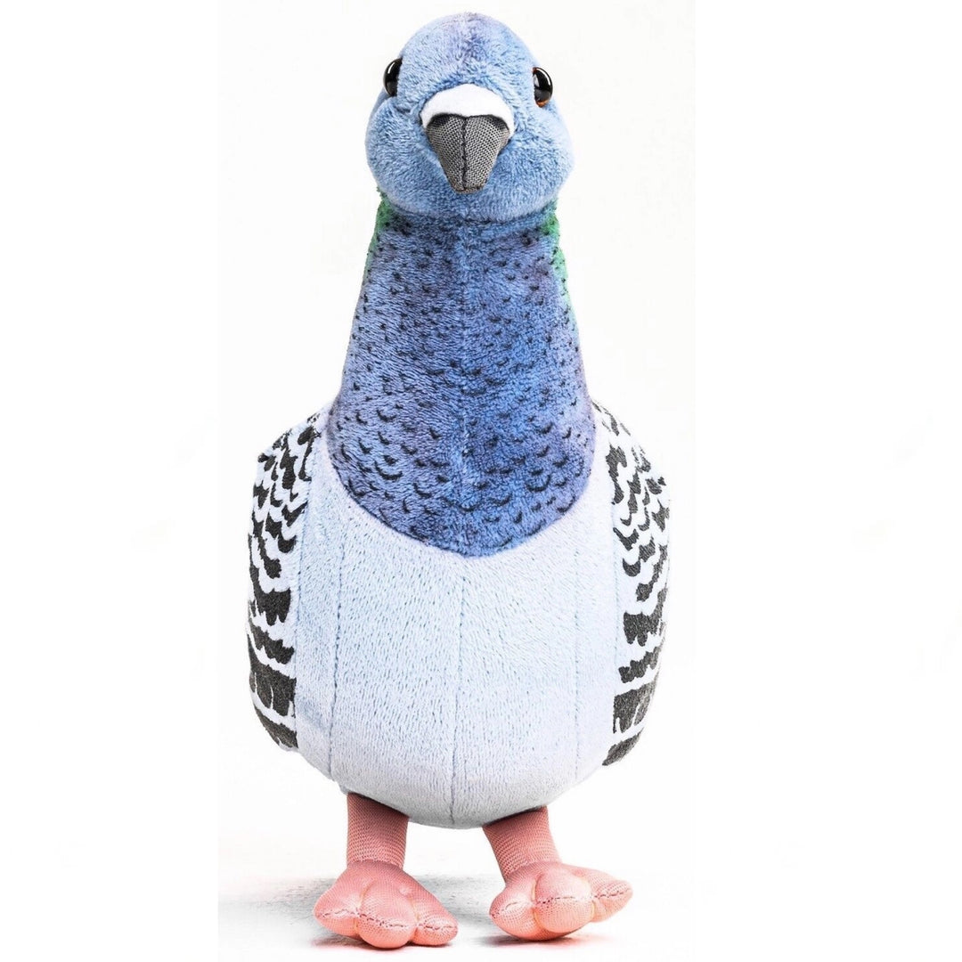Blue Pigeon