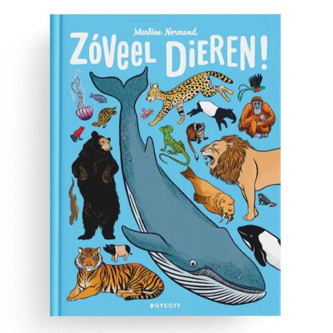 Zoveel dieren!