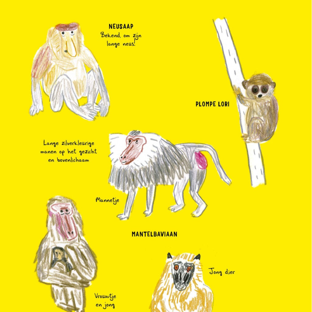 Zo teken je (bijna) elk dier