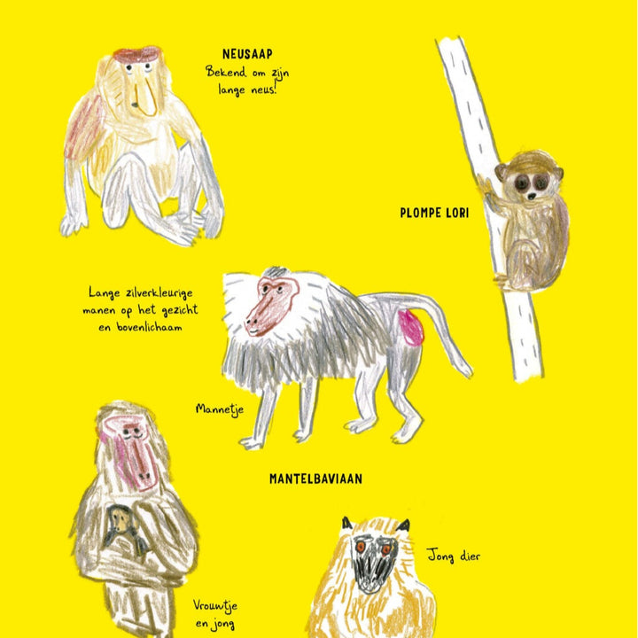 Zo teken je (bijna) elk dier