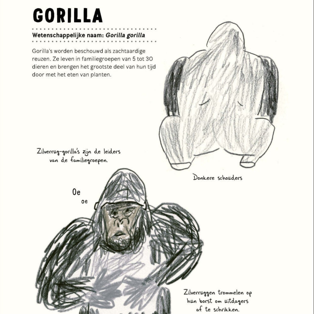 Zo teken je (bijna) elk dier