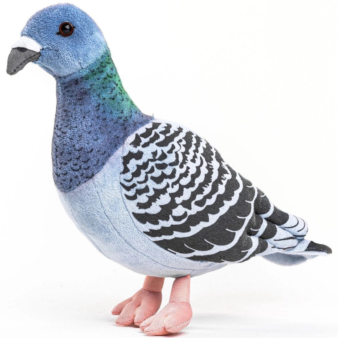 Blue Pigeon