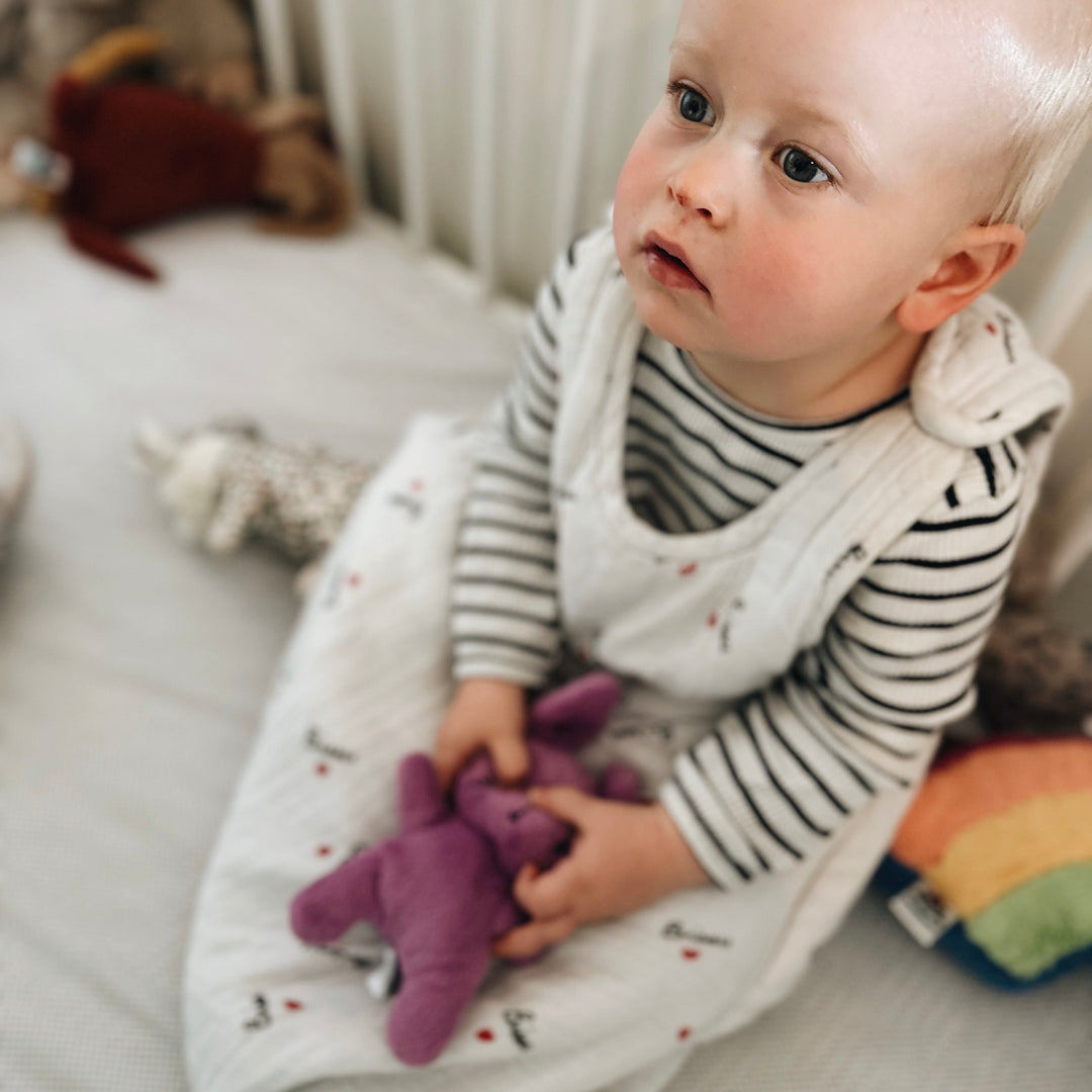 Sleeping bag bisou (ONE SIZE 6-24m)