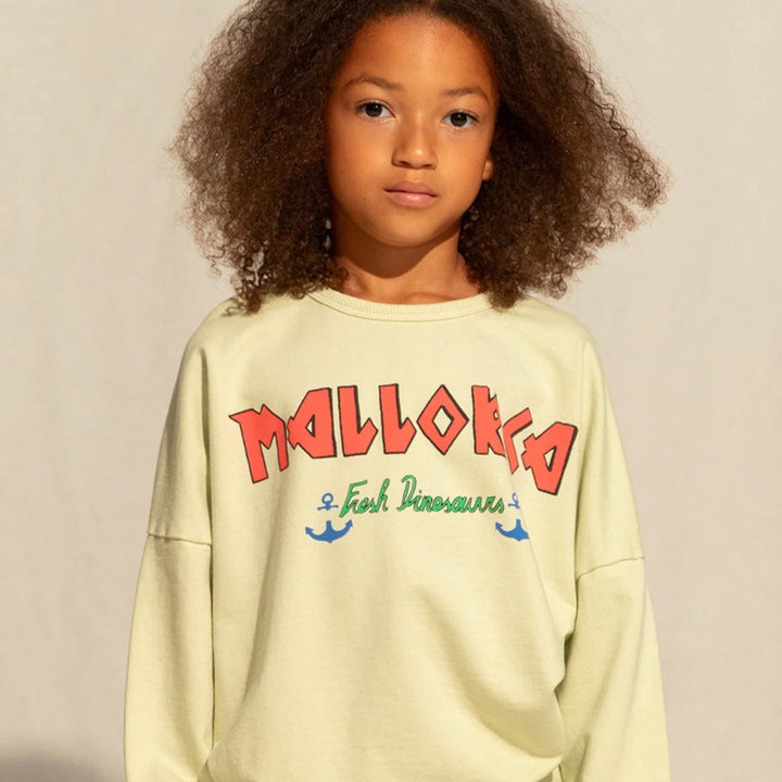 Fresh Dinosaurs - Sweater mallorca / last size 6-8y