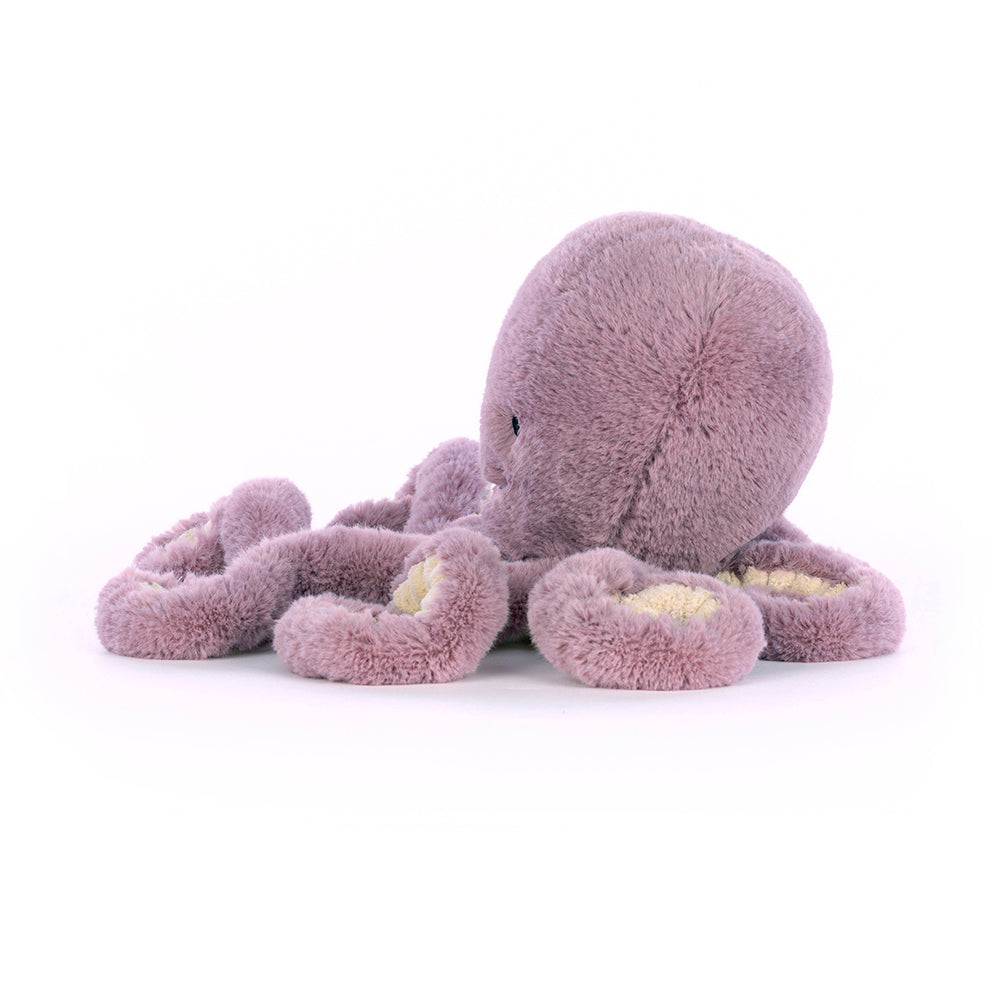 Maya octopus little