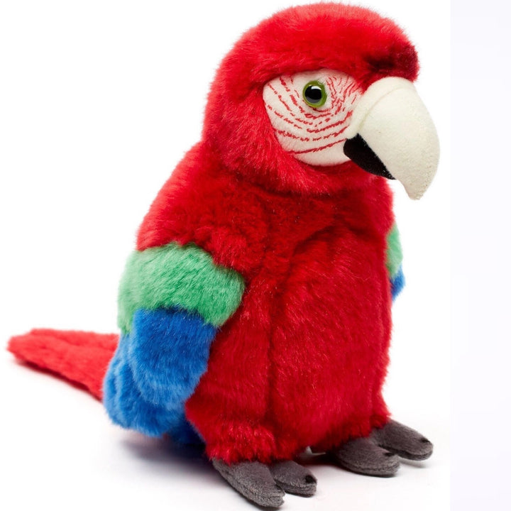 Parrot red
