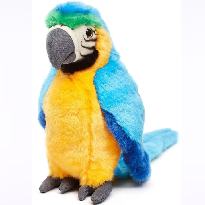 Parrot blue