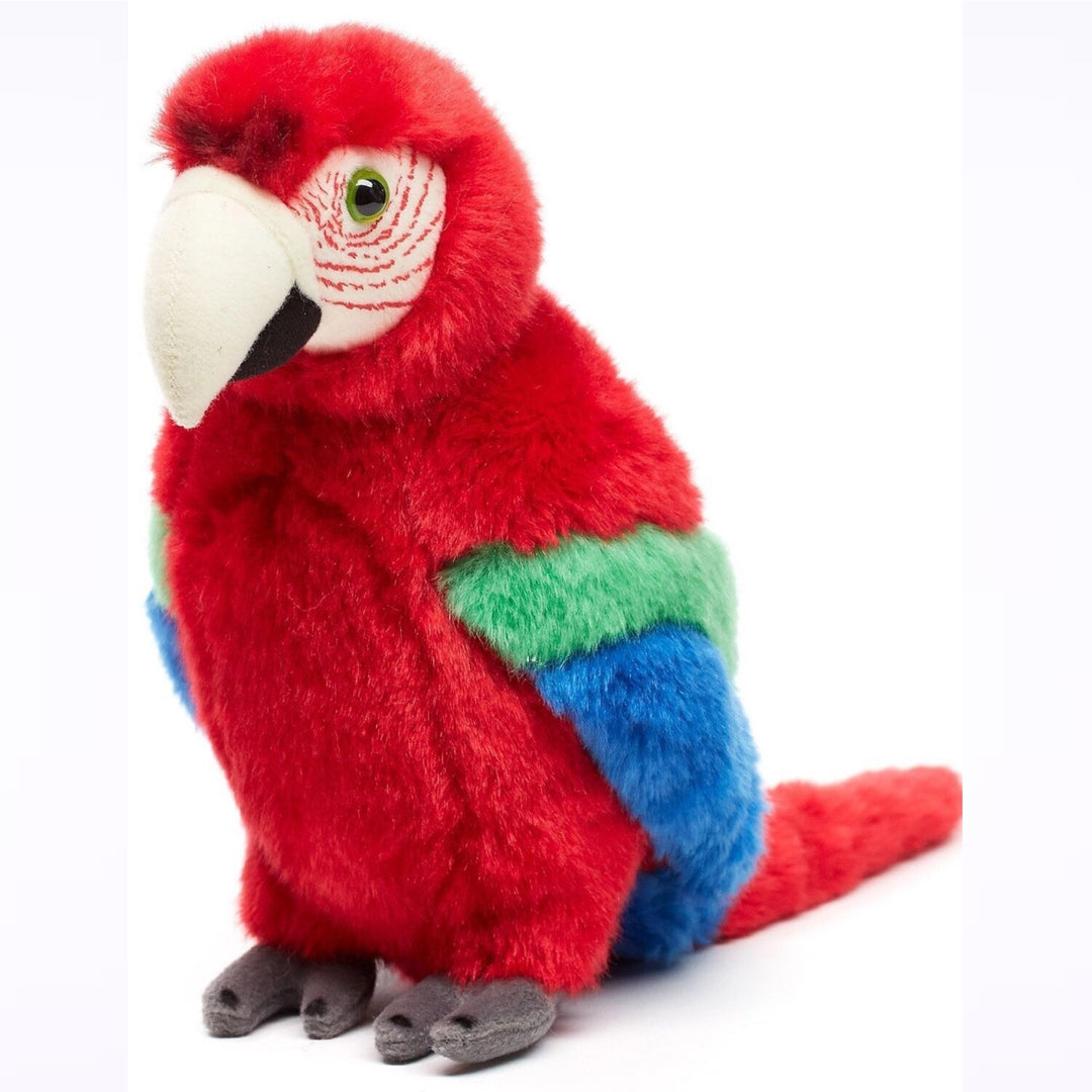 Parrot red