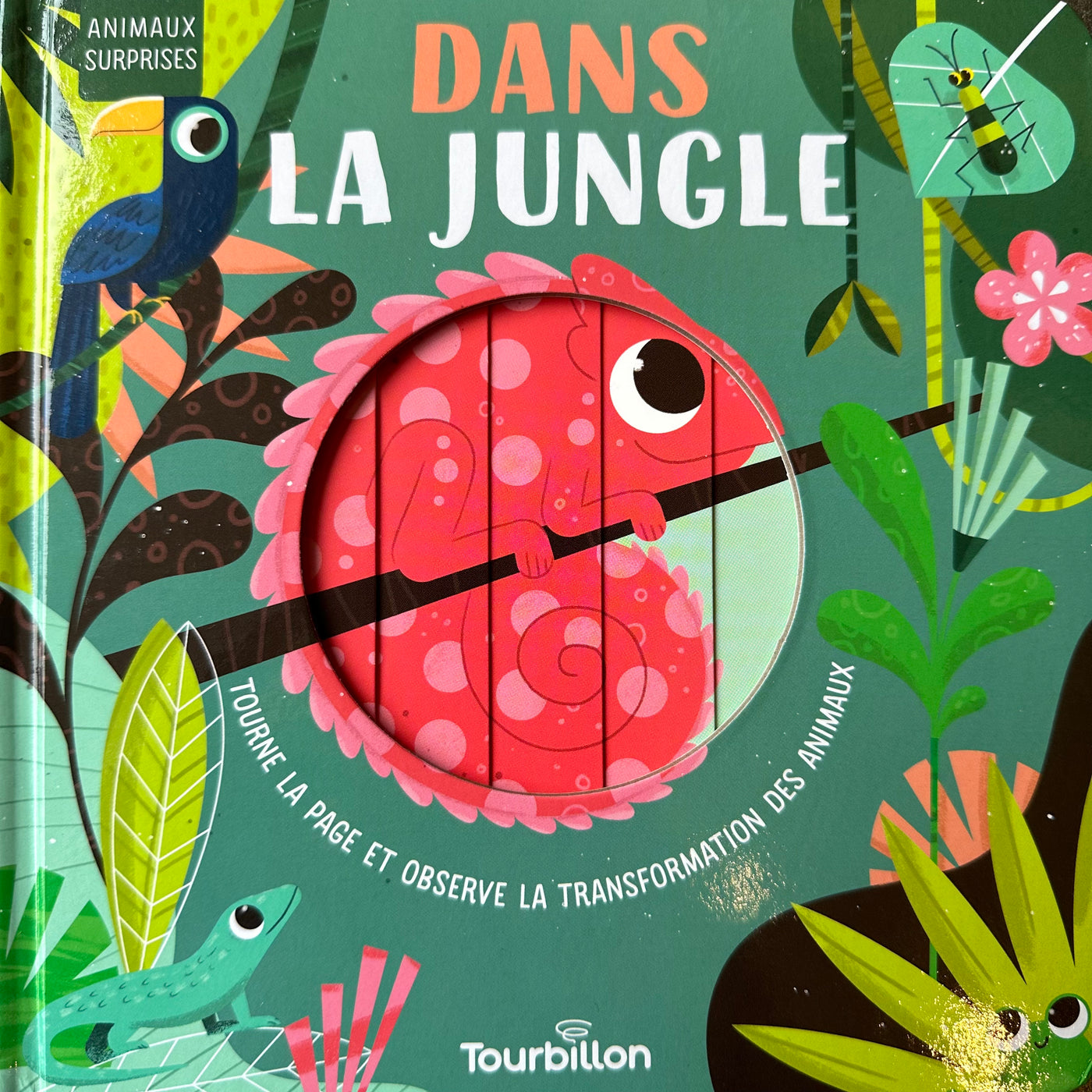 Dans la jungle