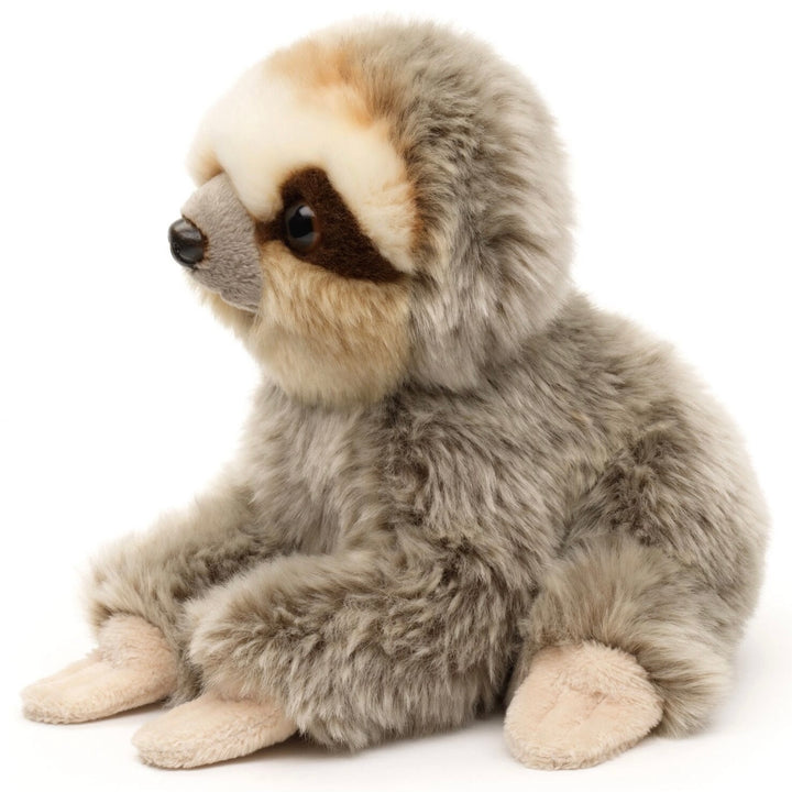 Sloth