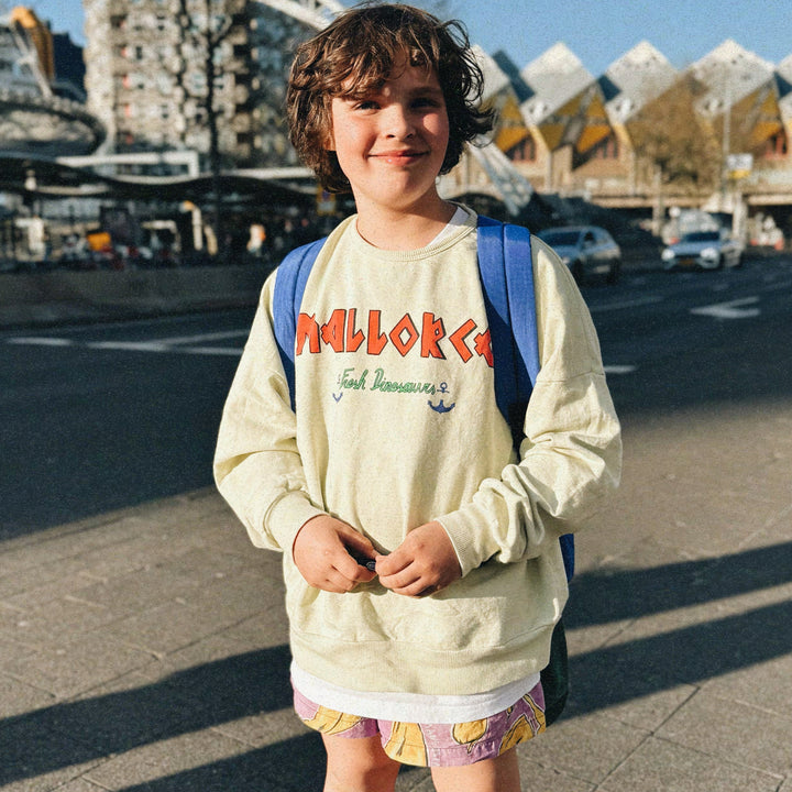 Fresh Dinosaurs - Sweater mallorca / last size 6-8y