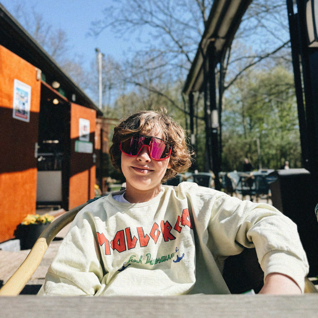 Fresh Dinosaurs - Sweater mallorca / last size 6-8y