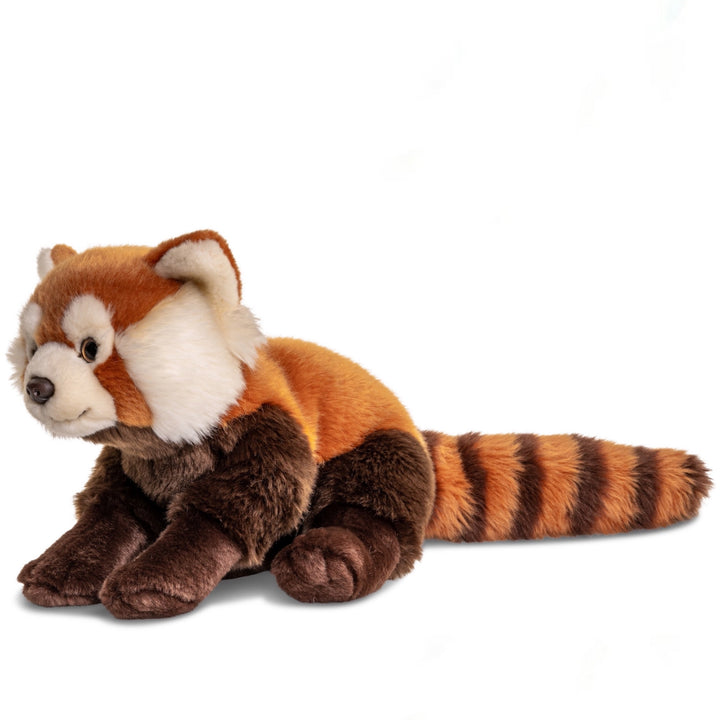 Red panda