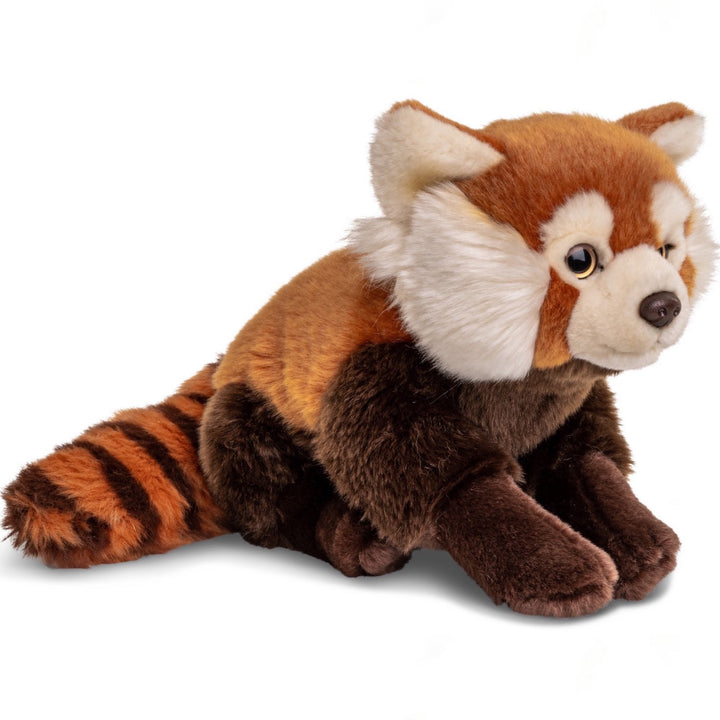 Red panda