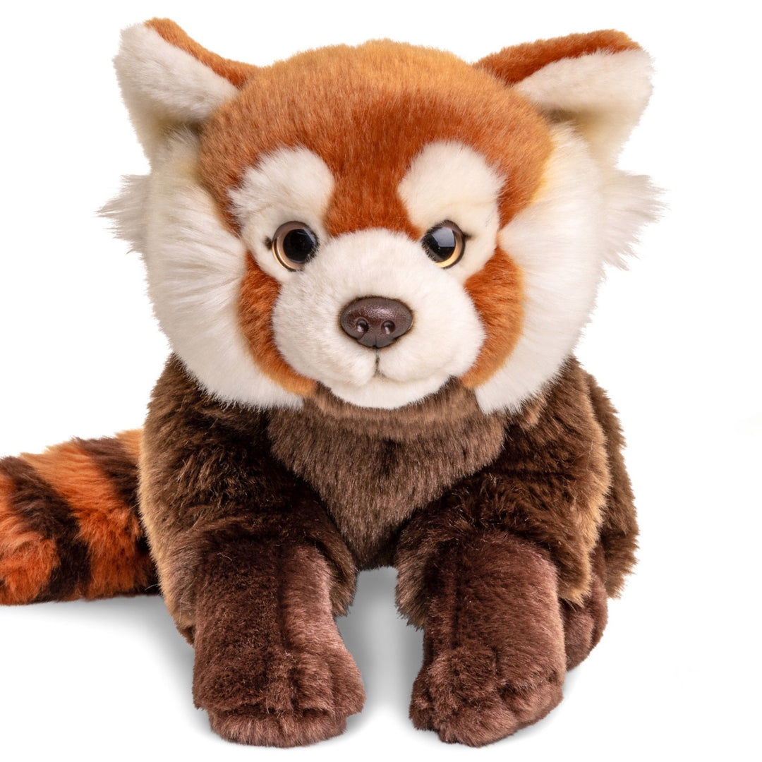 Red panda