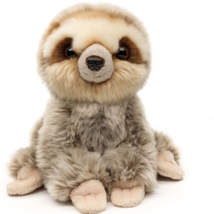 Sloth