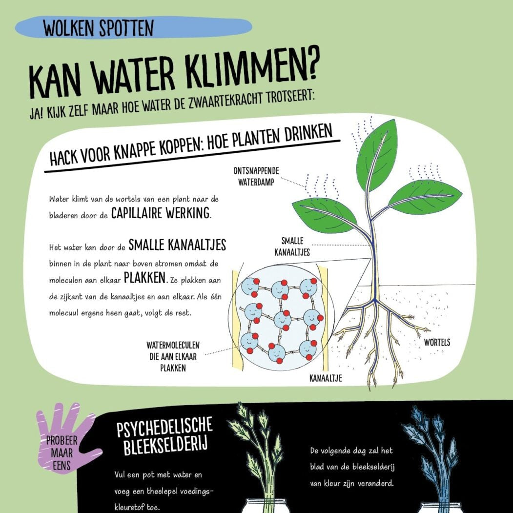 Klimaat en weer