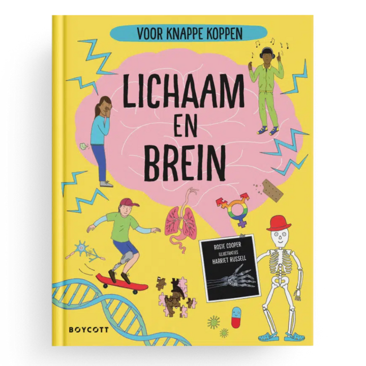 Leeuwenlessen
