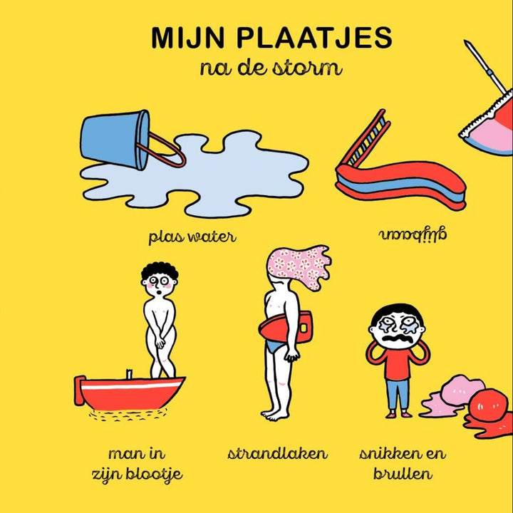 Mijn plaatjes na de storm