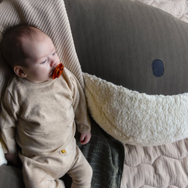 Feeding pillow whale momo (DEELBONNEN) / Babylist Raoul Thomas - Van Gestel