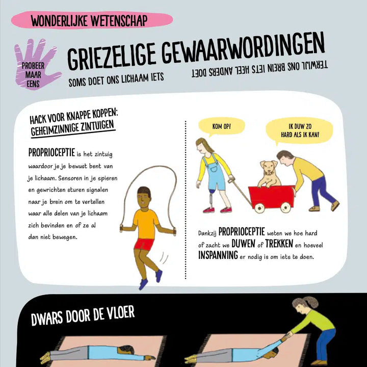 Leeuwenlessen