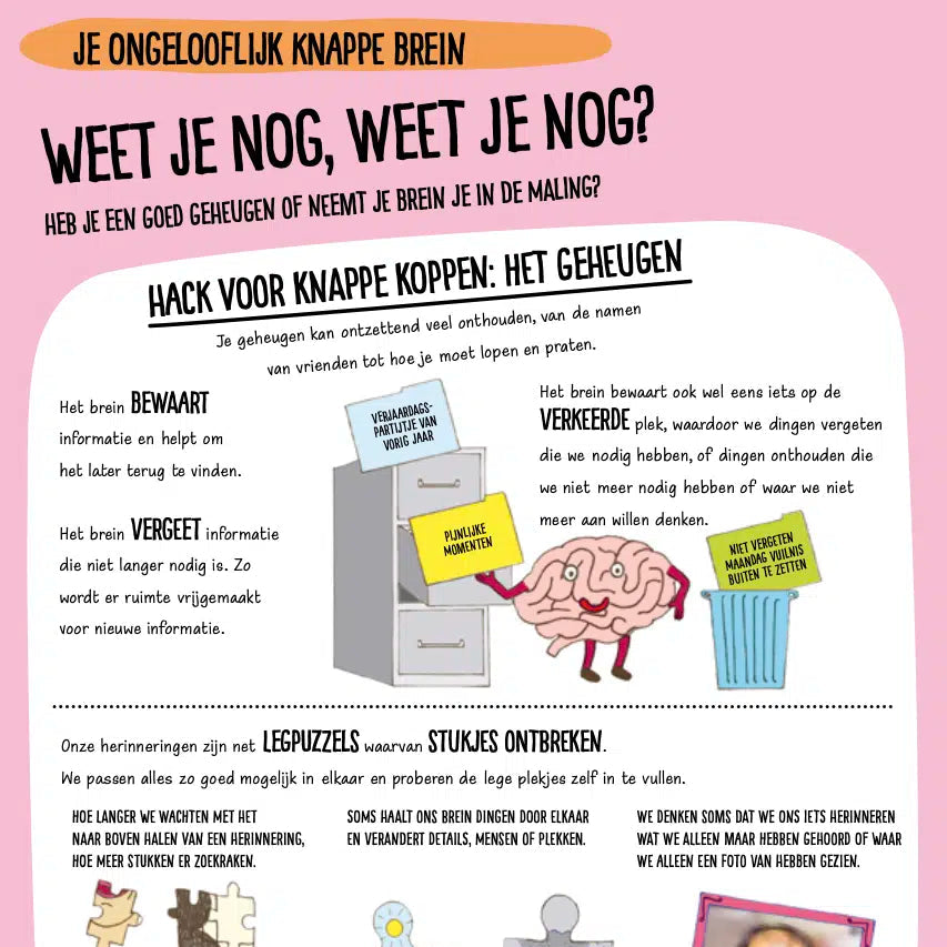 Leeuwenlessen