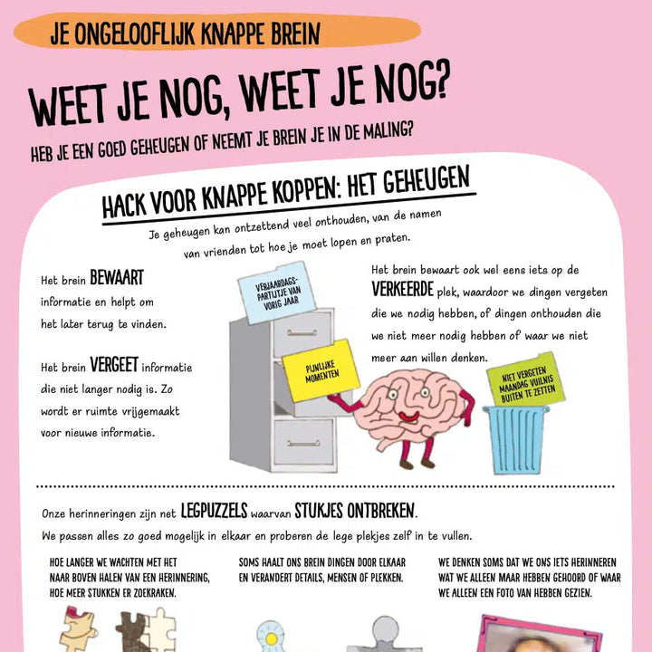 Leeuwenlessen