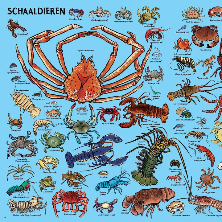 Zoveel dieren!