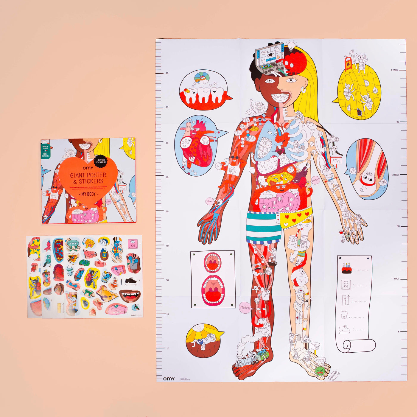 Gigantische poster & stickers mijn lichaam (3+ jaar)