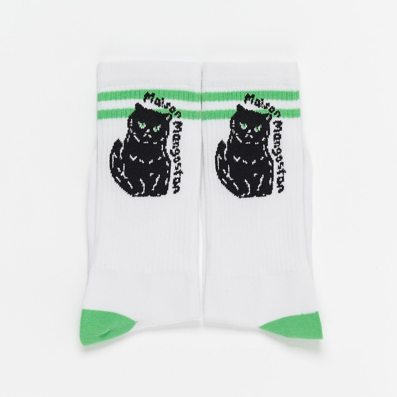 Socks cat