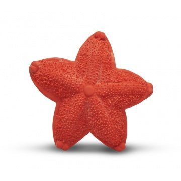 Sensory teething toy starfish