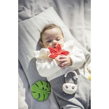 Sensory teething toy starfish