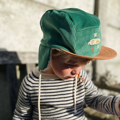 Wintercap robin snake green