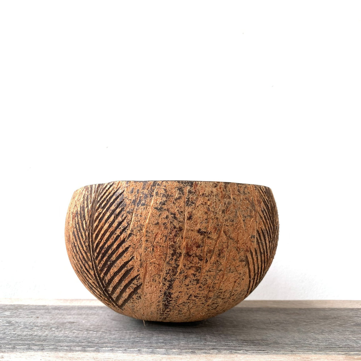 Coconut bowl palm